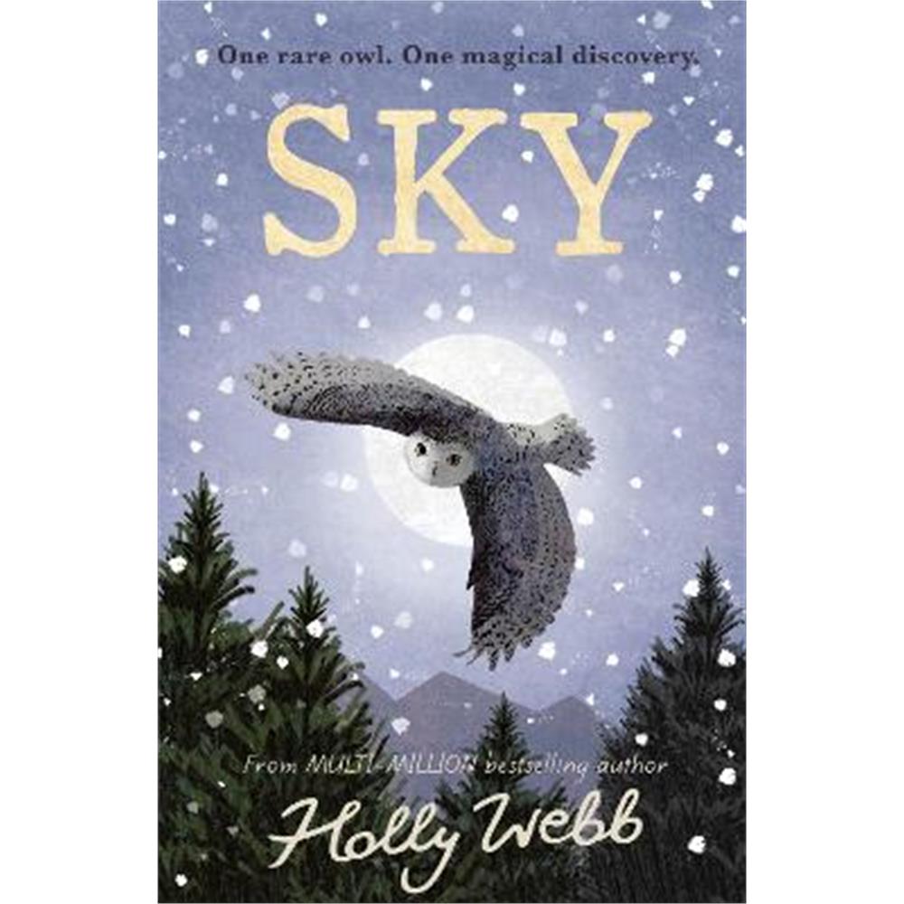 Sky (Hardback) - Holly Webb